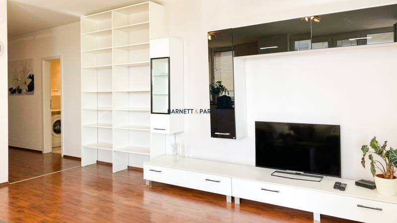 ADRID REAL FOR RENT - SPACIOUS BRIGHT FLAT NEXT TO THE LAKE 