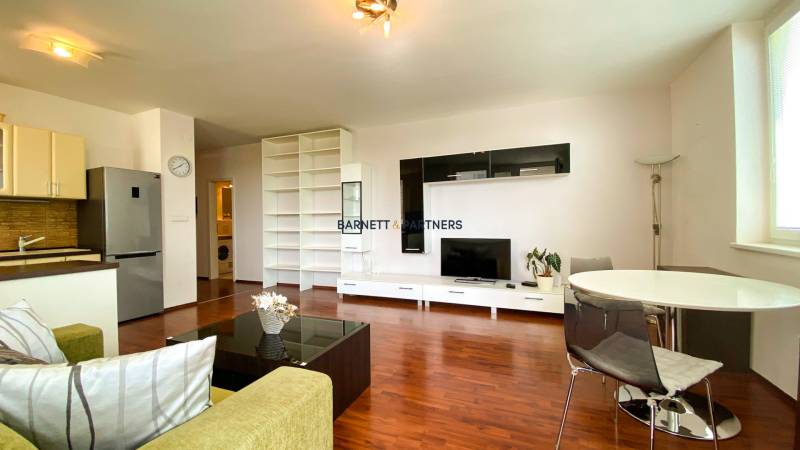 ADRID REAL FOR RENT - SPACIOUS BRIGHT FLAT NEXT TO THE LAKE 